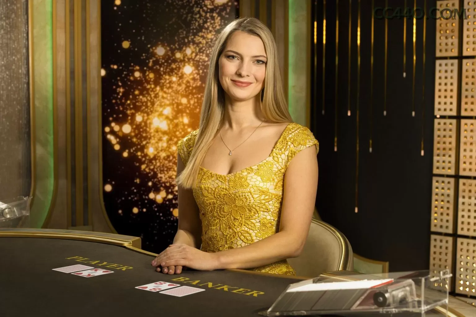 Casino Login cc44